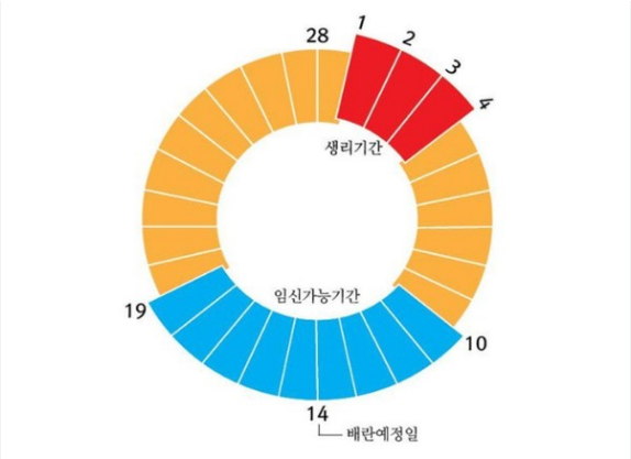 임신확률 계산기 – 나이별 임신 가능성과 피임 방법별 효과