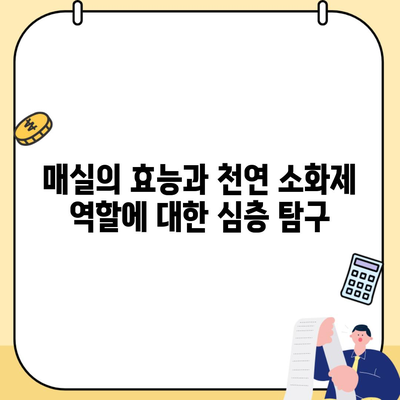 매실의 효능과 천연 소화제 역할에 대한 심층 탐구