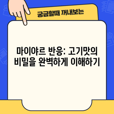 마이야르 반응: 고기맛의 비밀을 완벽하게 이해하기