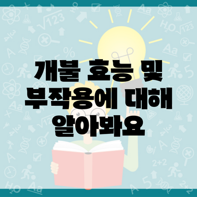 개불 효능 및 부작용에 대해 알아봐요