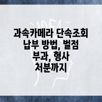 과속카메라 단속조회 납부 방법, 벌점 부과, 형사 처분까지