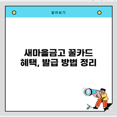 새마을금고 꿀카드 혜택, 발급 방법 정리