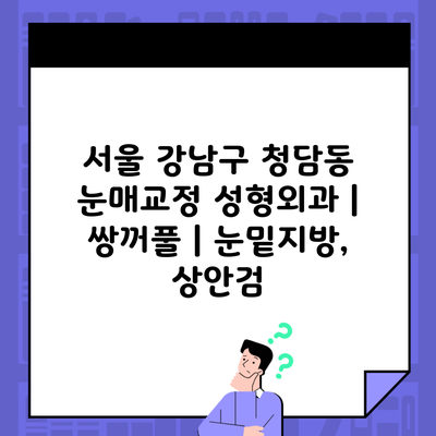 서울 강남구 청담동 눈매교정 성형외과 | 쌍꺼풀 | 눈밑지방, 상안검