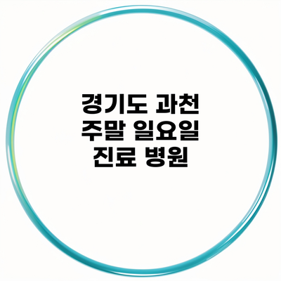 경기도 과천 주말 일요일 진료 병원