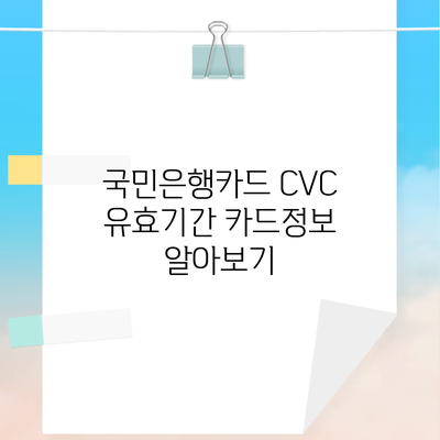 국민은행카드 CVC 유효기간 카드정보 알아보기