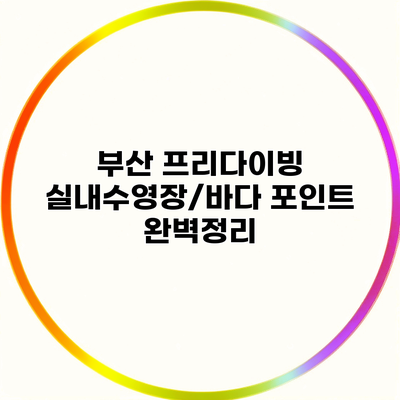 부산 프리다이빙 실내수영장/바다 포인트 완벽정리