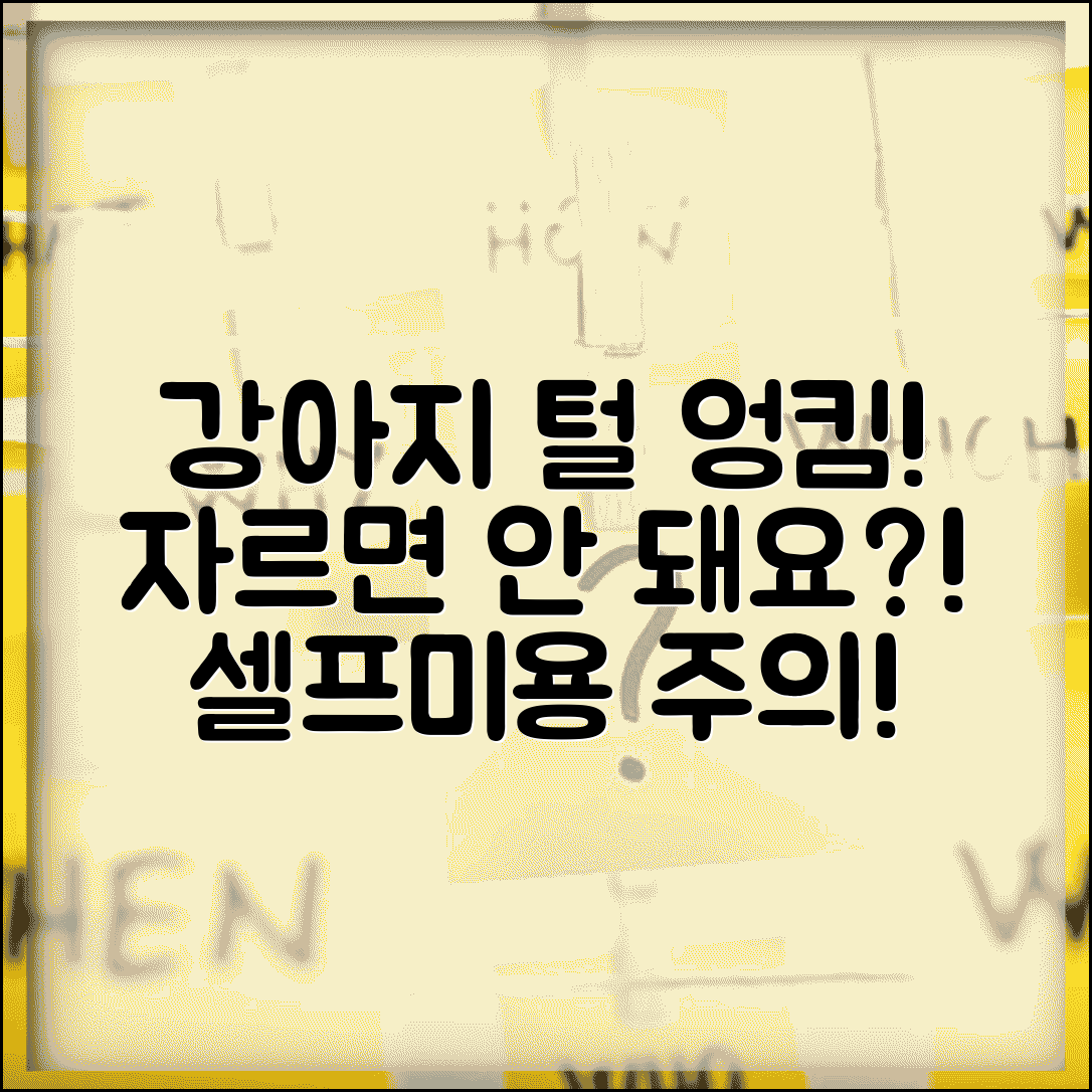 강아지 털 엉킨 곳 잘라내도 되나요 | 강아지 털뭉침 | 셀프미용 | 주의사항