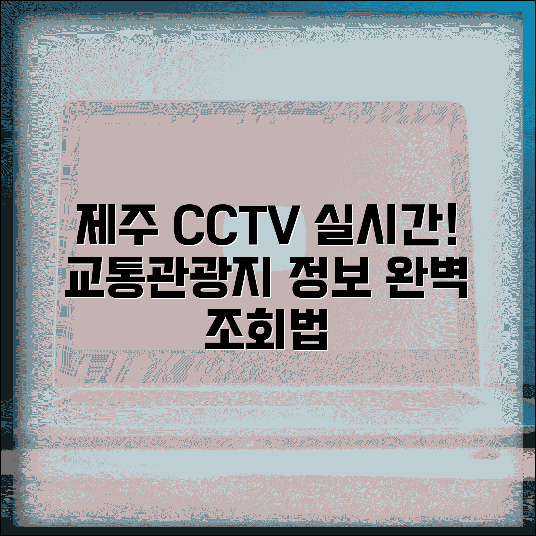 제주도 cctv 실시간 교통정보 관광지 | 제주 실시간 CCTV 완벽 조회법