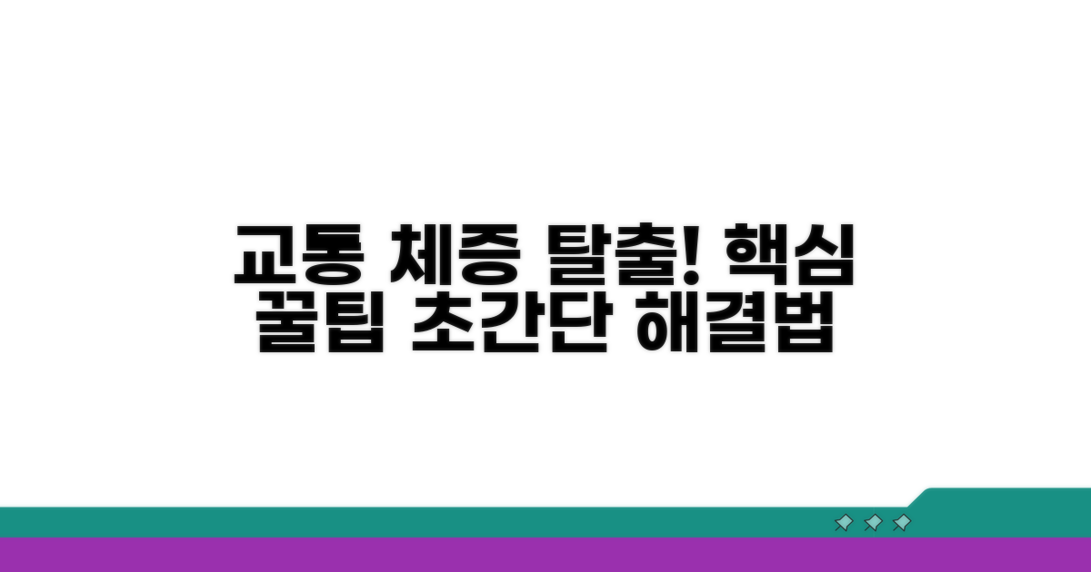 교통 체증 피하는 실전 팁