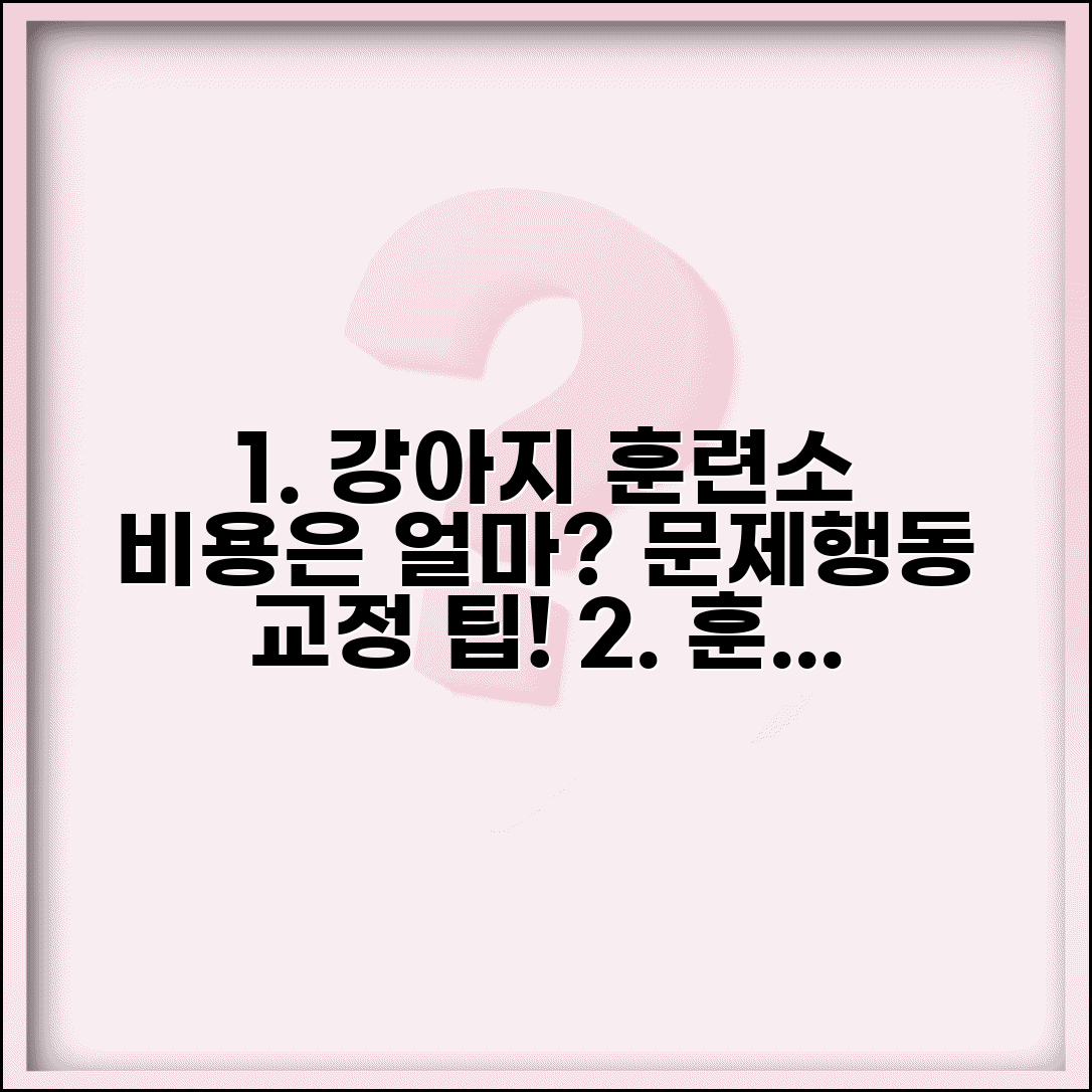 강아지 훈련소 교육 프로그램 비용 | 기본 고급 문제행동 교정 가격