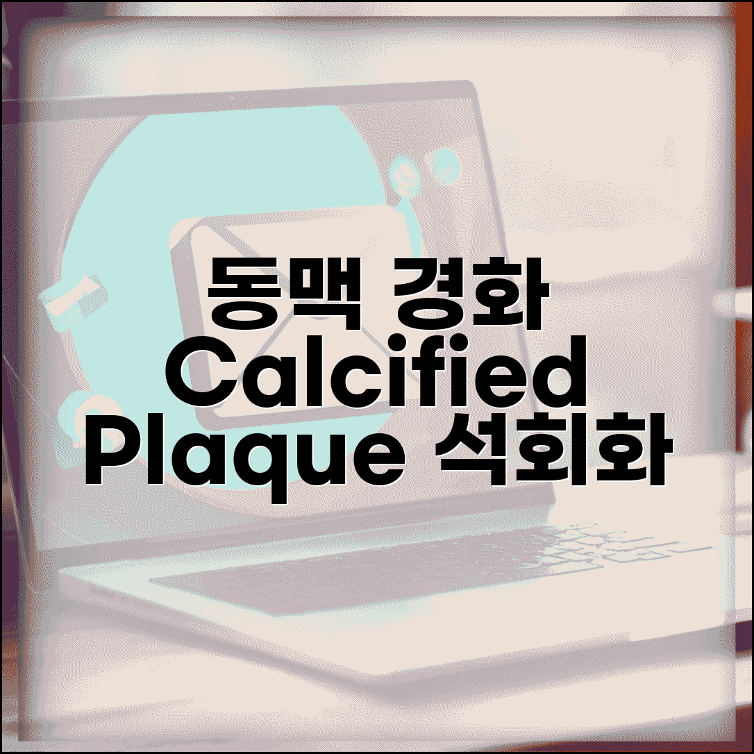 경동맥 초음파 calcified plaque 소견 | 석회화 플라크 경화성 죽상경화반