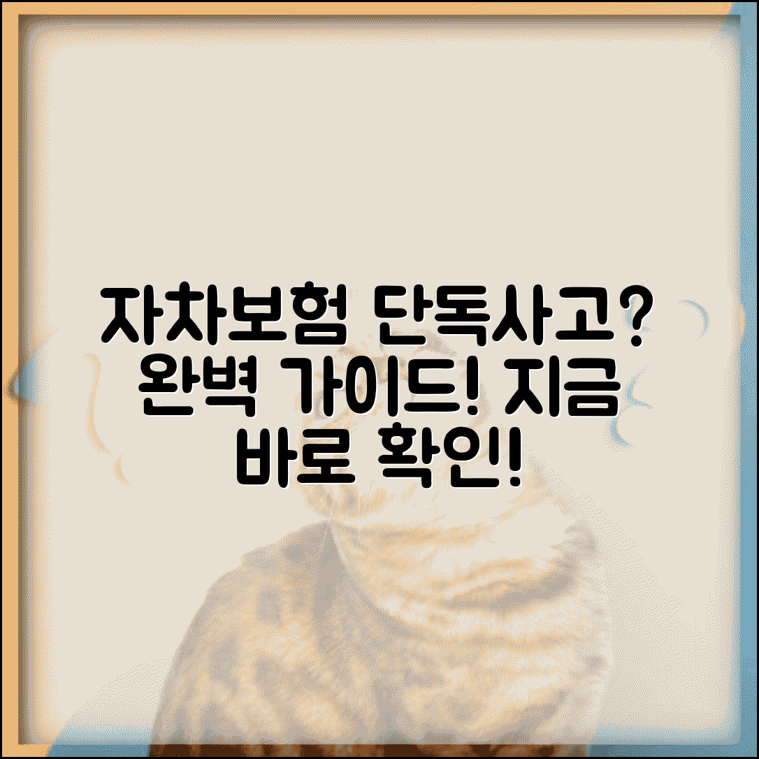 자차 보험 단독사고 처리 방법 | 단독사고 자차보험 처리 완벽 가이드