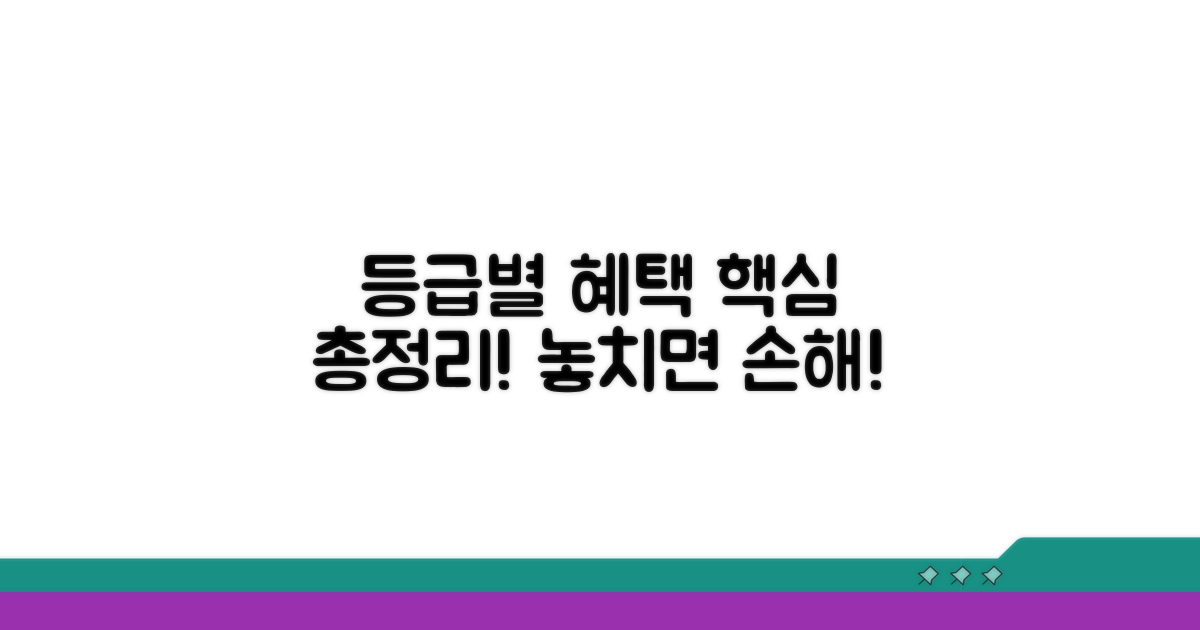 등급별 지원 내용 핵심 요약