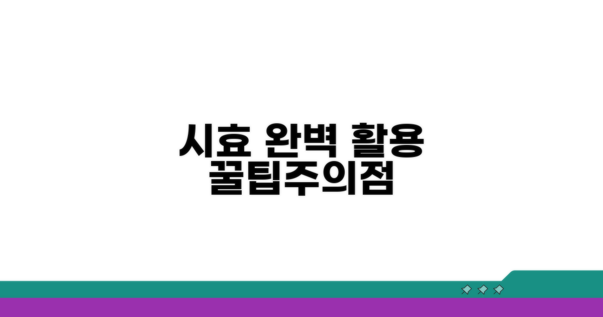 시효 활용 꿀팁과 주의점