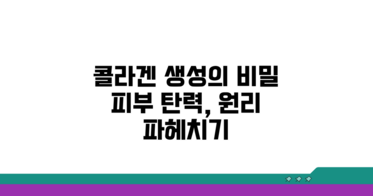 콜라겐 생성 원리 집중 분석
