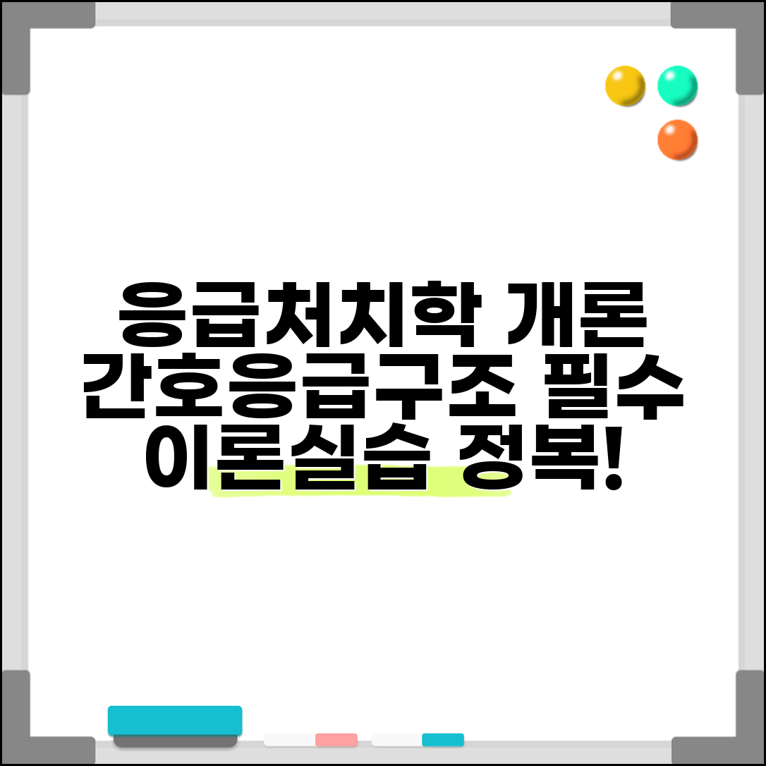 응급처치학개론 의학 교육과정 | 간호학과 응급구조학과 전공 필수 이론과 실습 내용