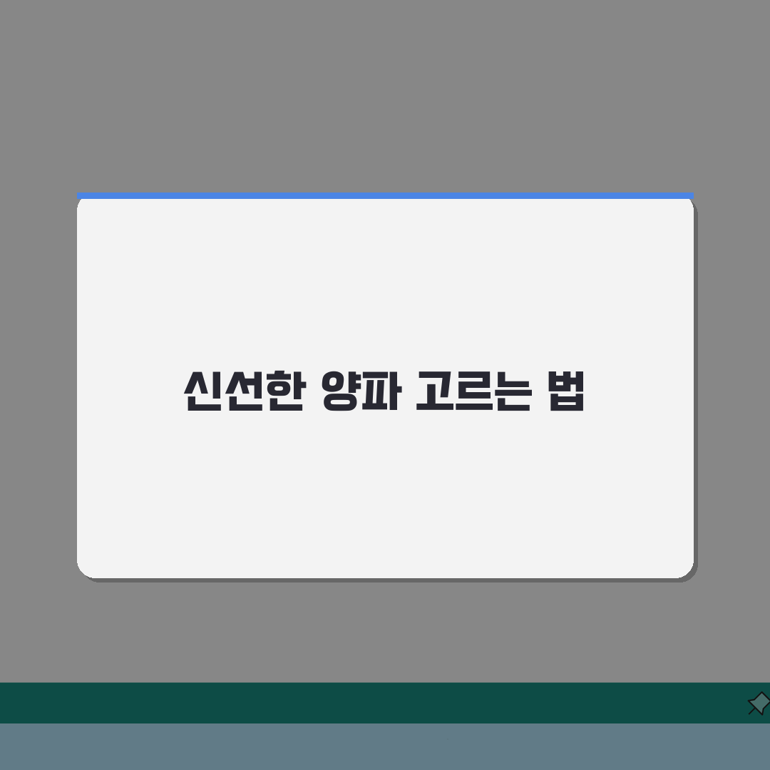 양파 고르는 법 보관 잘되는 것 | 신선한 양파 고르는 방법 추천!
