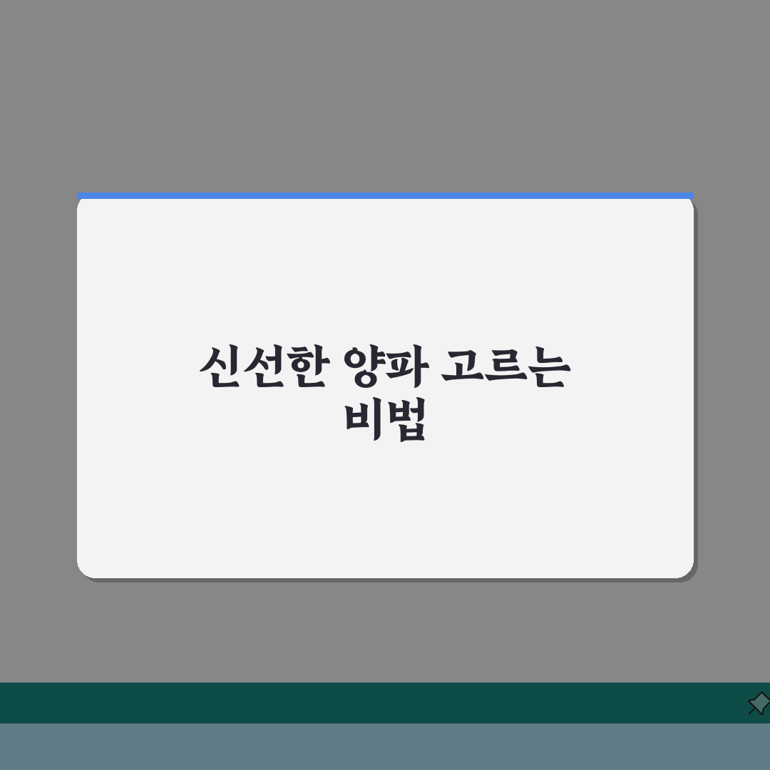 양파 고르는 법 보관 잘되는 것 | 신선한 양파 고르는 방법 추천!