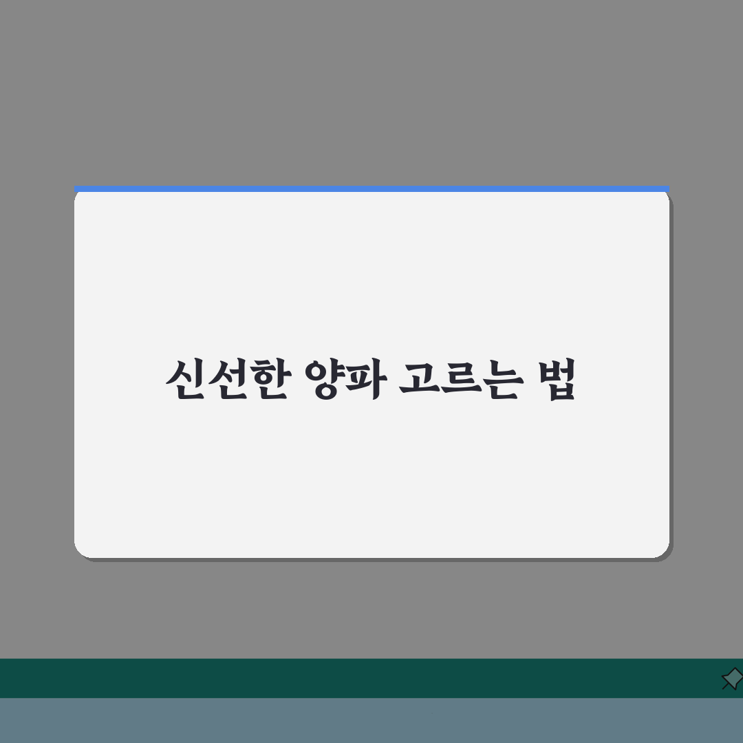 양파 고르는 법 보관 잘되는 것 | 신선한 양파 고르는 방법 추천!