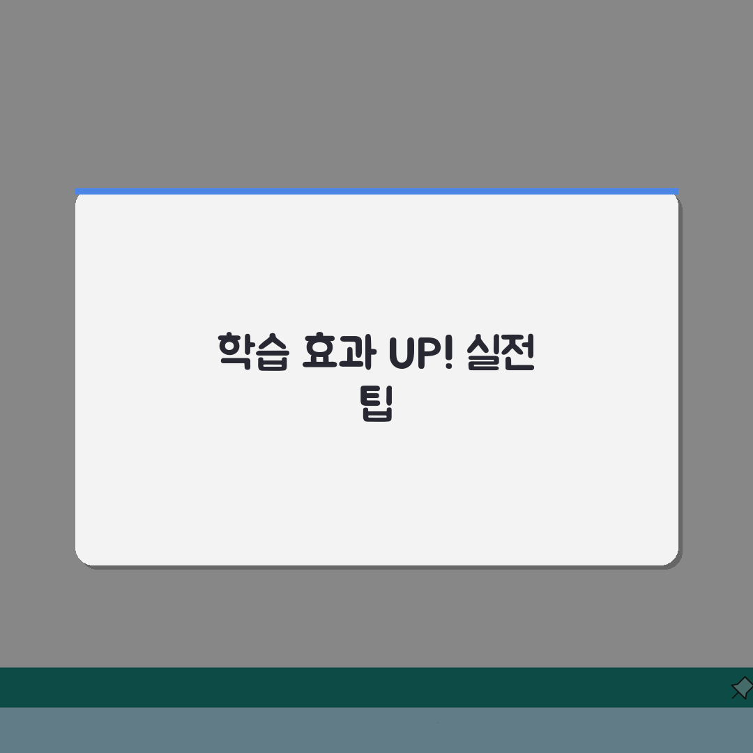 CNP Academy 한티역 영어 전문, 학원비 커리큘럼 수준별 학습 모든 정보