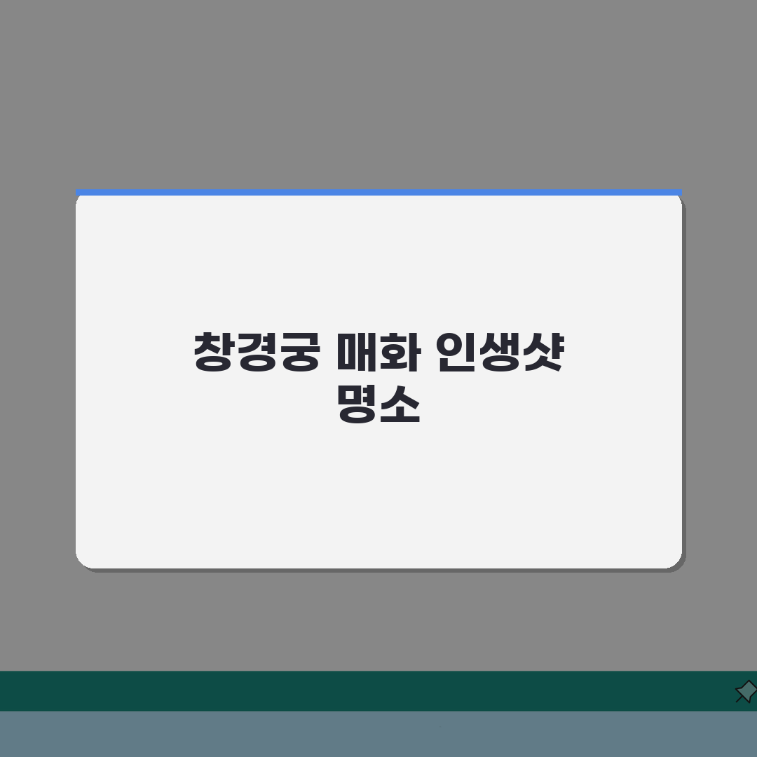 창경궁 매화 명소, 인생샷 남길 포토 스팟과 개화 시기 총정리