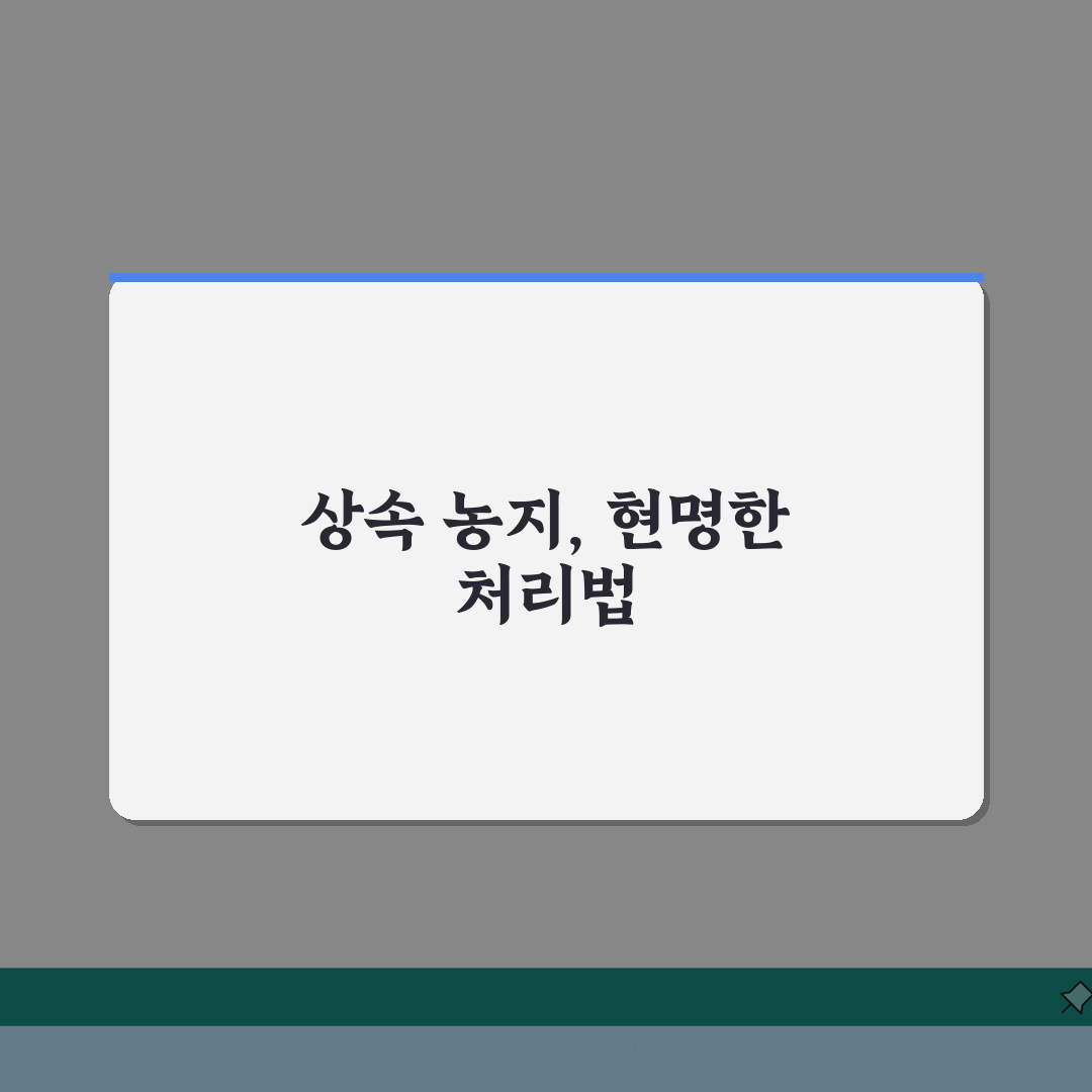 상속재산 농지상속 절차: 농지법 제한과 허가사항 완벽 정리