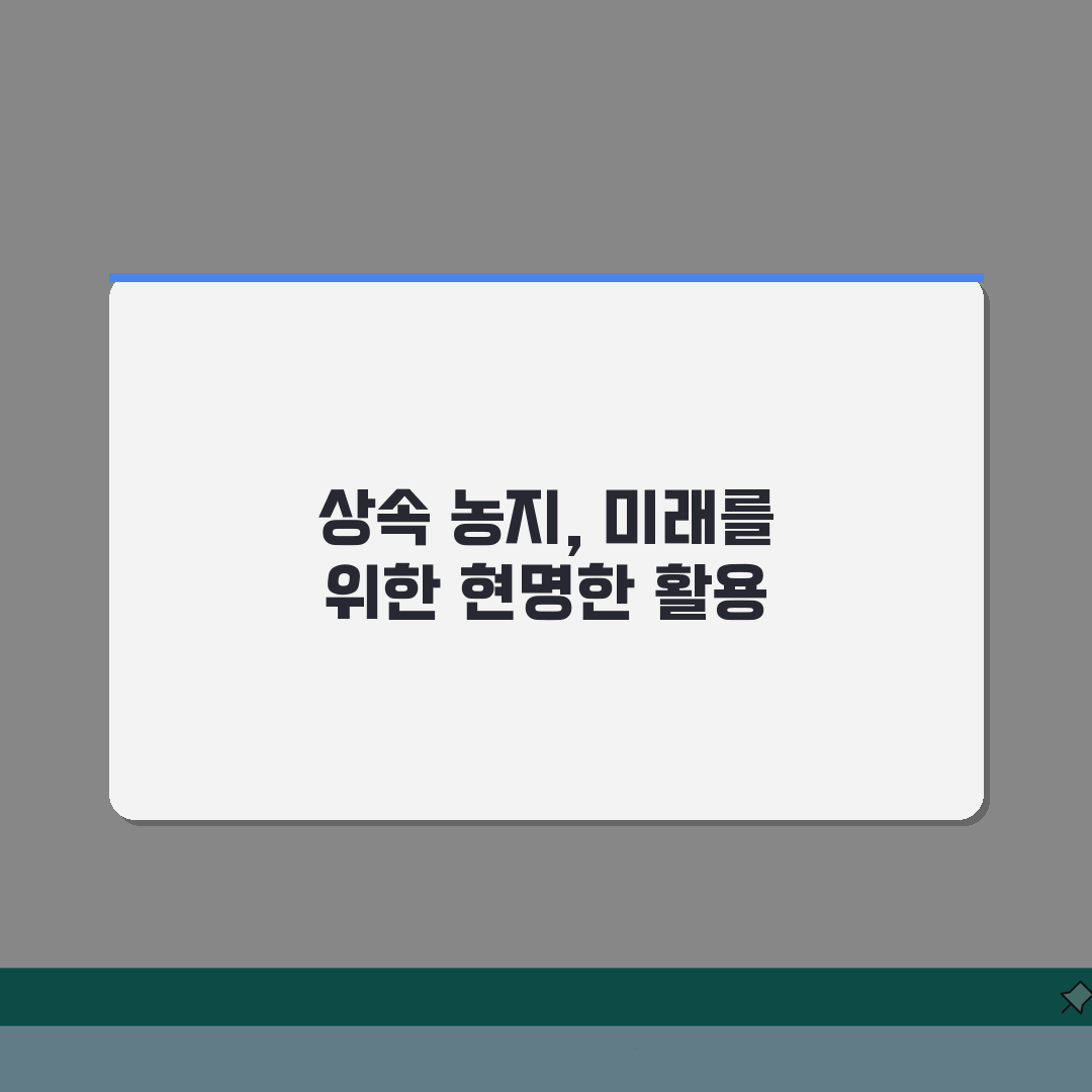 상속재산 농지상속 절차: 농지법 제한과 허가사항 완벽 정리