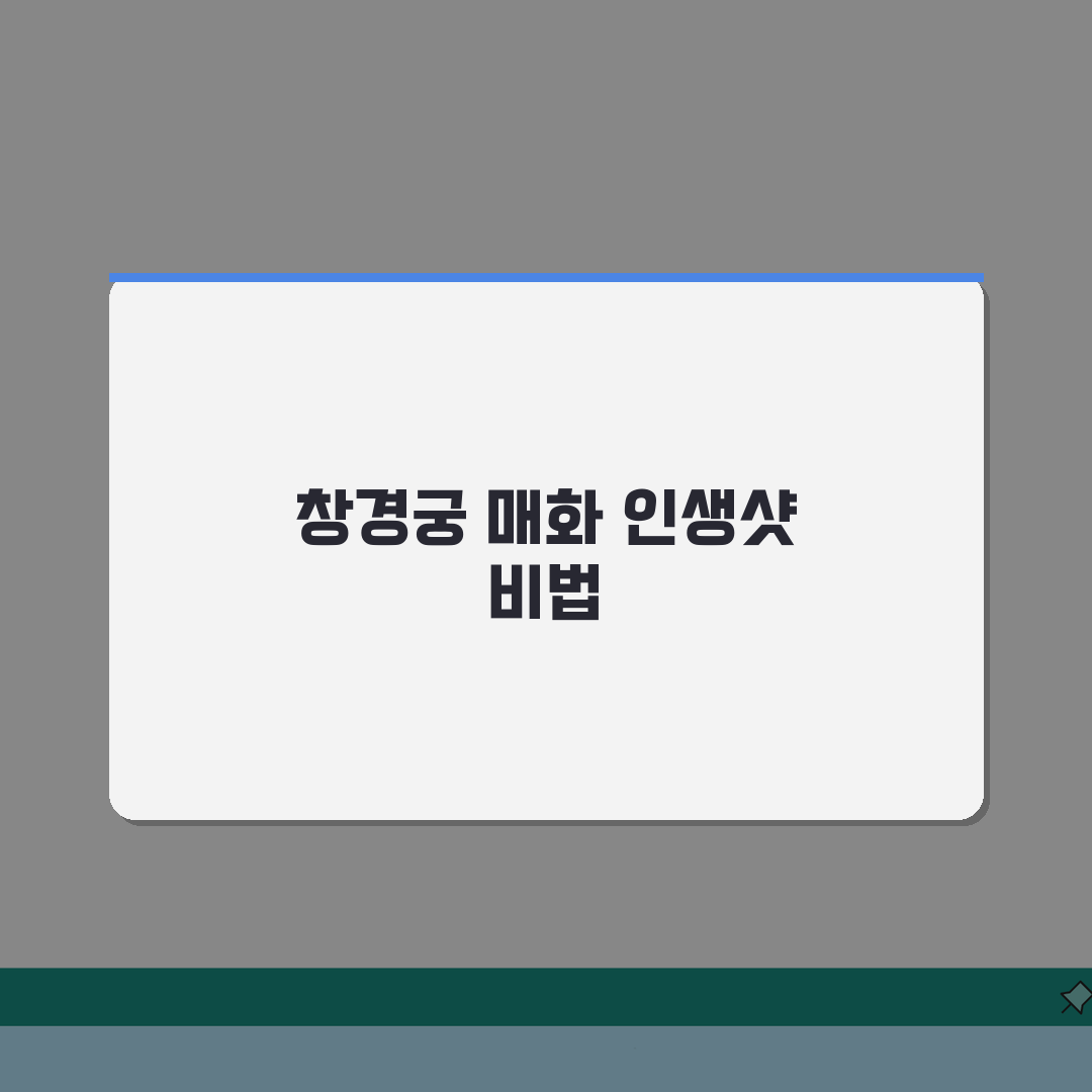창경궁 매화 명소, 인생샷 남길 포토 스팟과 개화 시기 총정리